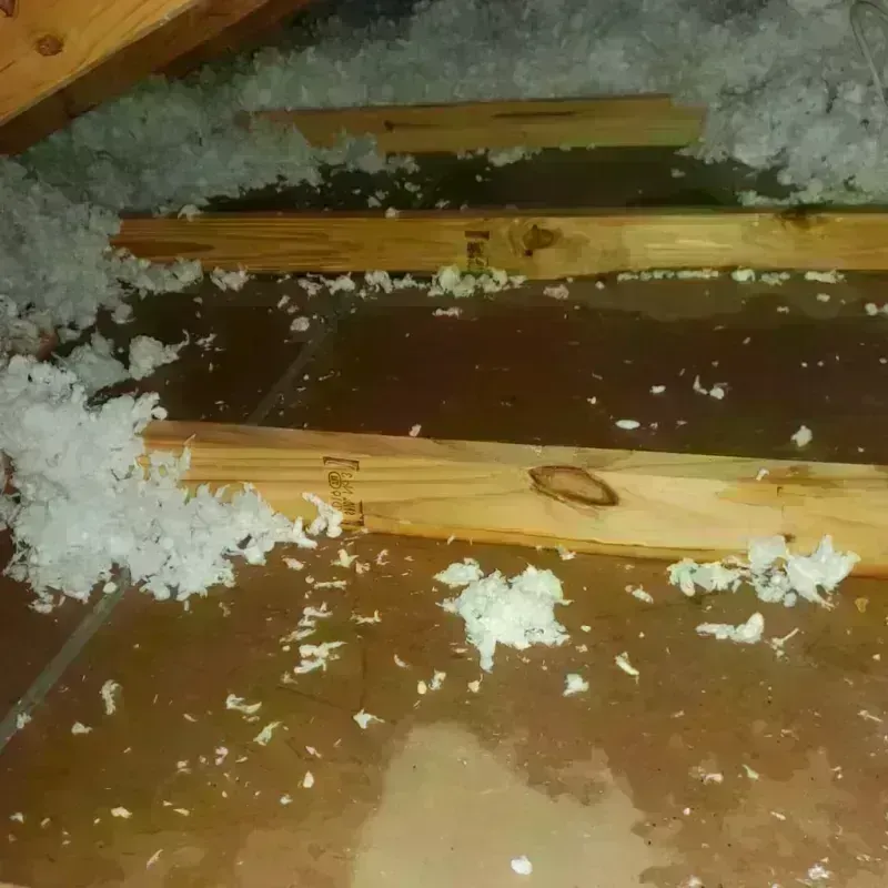 Attic Water Damage in Tiverton, RI